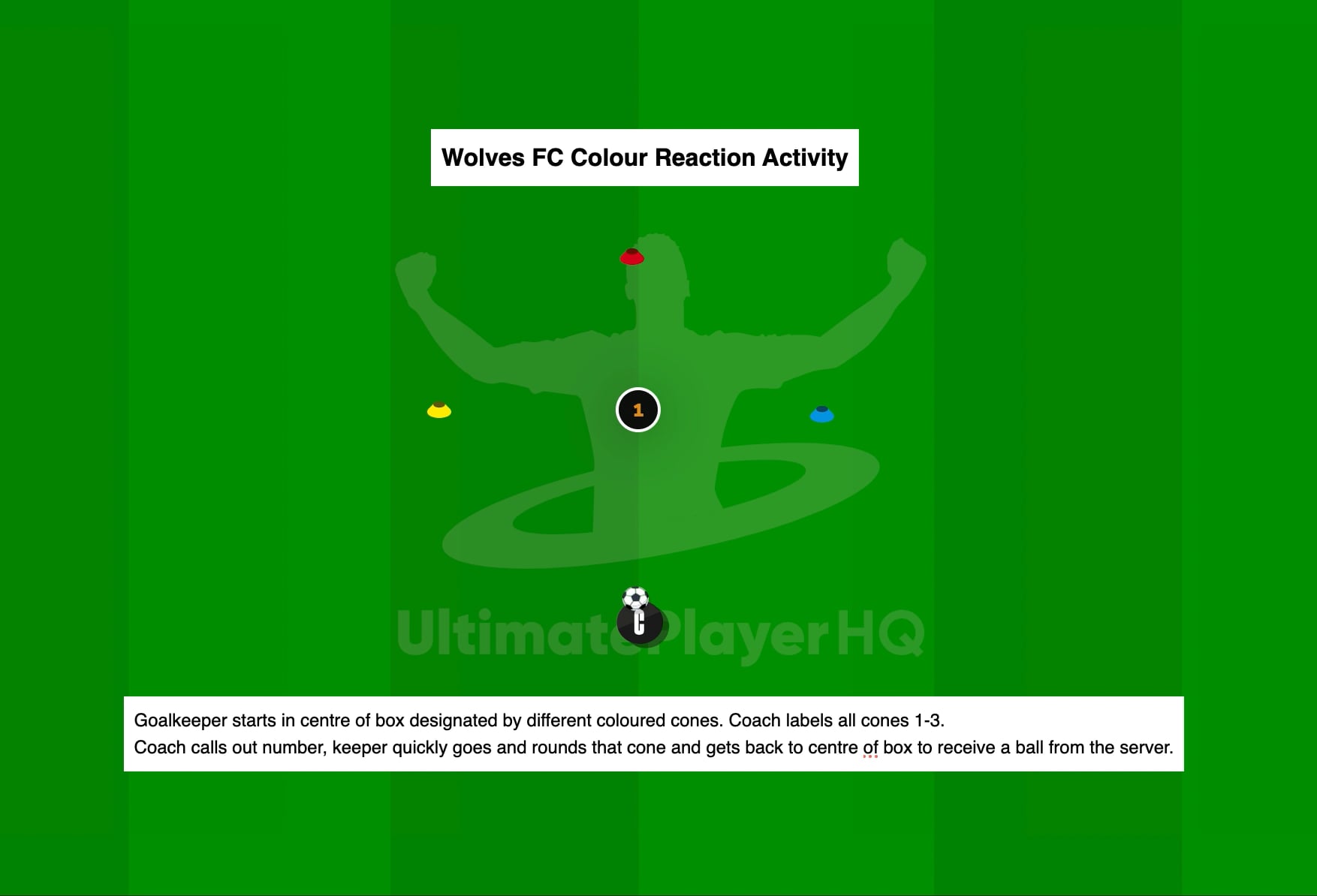 Wolves FC Colour Reaction Activity
