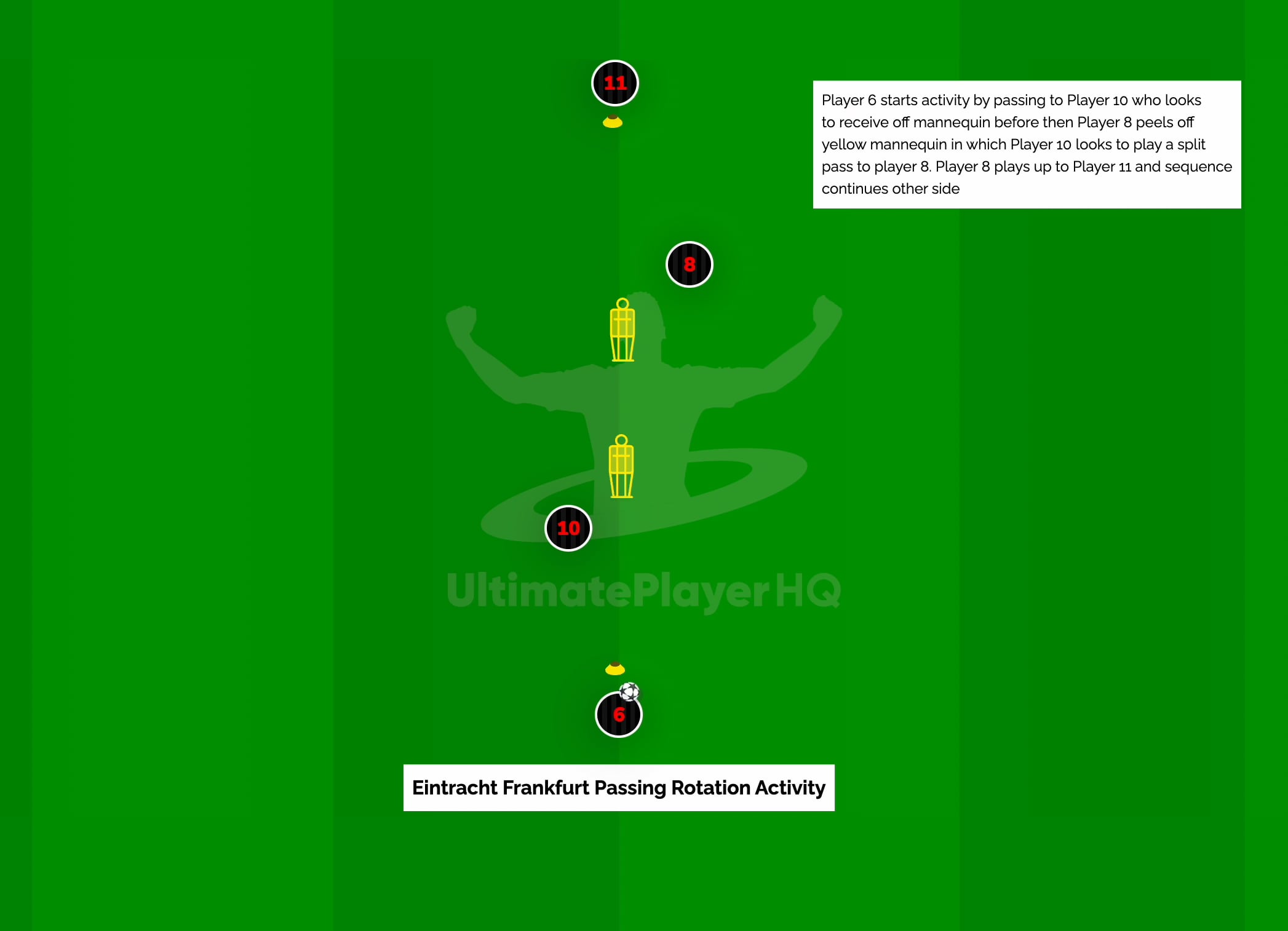 Eintracht Frankfurt Passing Rotation Activity